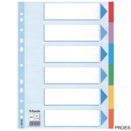 Przekładki karton A4 6 kart ESSELTE 100192 kolorowe z kartą opisową