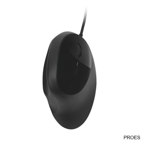 Przewodowa mysz Pro Fit Ergo Kensington K75403EU