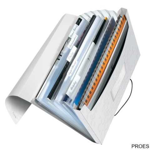 Teczka z 6 przegródkami PP Leitz WOW, biała 45890001 -a Teczka z 6 przegródkami PP Leitz WOW, biała 45890001 -a