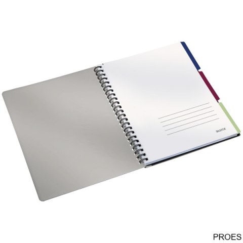 Kołonotatnik Get Organized EXECUTIVE A4 PP linia 44660000 LEITZ (X)