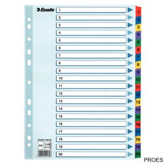Przekładki kartonowe MYLAR A4 1-20 100163 białe ESSELTE