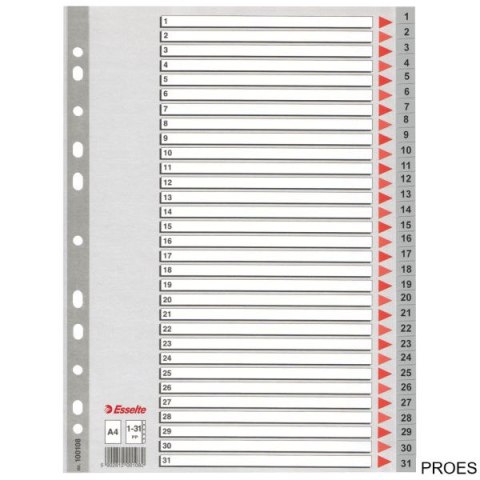 Przekładki plastikowe szare PP A4 1-31 100108 numeryczne ESSELTE Przekładki plastikowe szare PP A4 1-31 100108 numeryczne ESSELTE