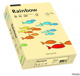 Papier xero kolorowy RAINBOW kość słoniowa R06 88042275