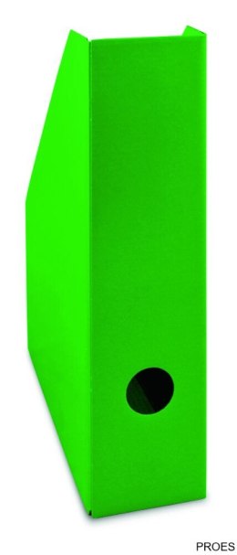 Pojemnik na czasopisma zielony lakierowany BANTEX 100552131