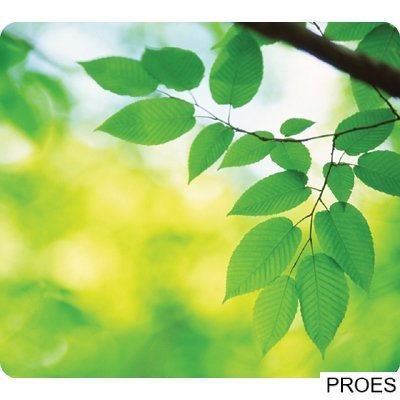 Ekologiczne podkładki pod mysz z serii Earth 5903801 FELLOWES Ekologiczne podkładki pod mysz z serii Earth 5903801 FELLOWES