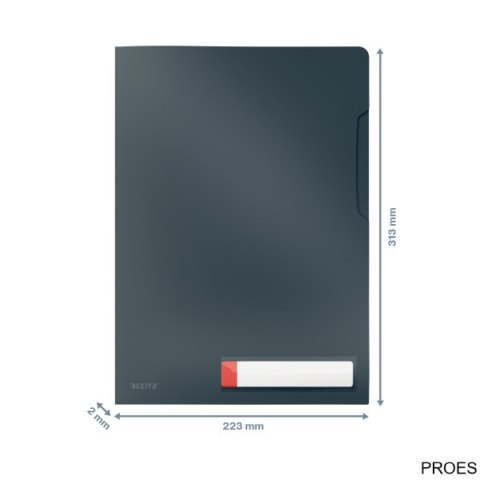 Folder A4 z kieszonką na etykietę Leitz Cosy, szara 47080089