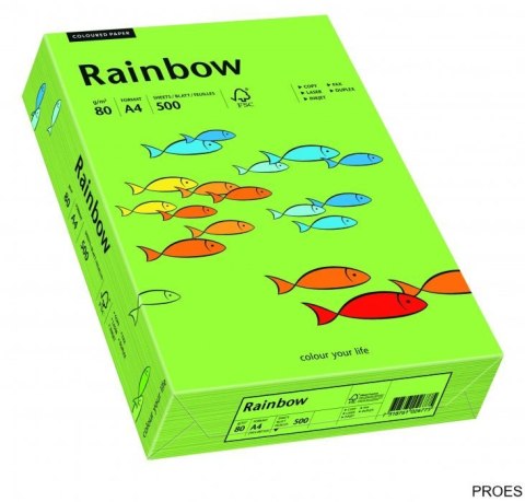 Papier xero kolorowy RAINBOW zielony R76 88042651 Papier xero kolorowy RAINBOW zielony R76 88042651