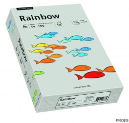 Papier xero kolorowy RAINBOW szary R96 88042805