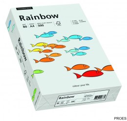 Papier xero kolorowy RAINBOW jasnoszary R93 88042783
