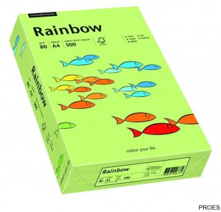 Papier xero kolorowy RAINBOW jasnozielony R74 88042607