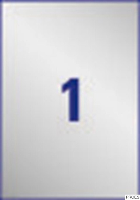 Etykiety znamionowe L6013-20 210 x 297 20 ark. poliestrowe, srebrne Avery Zweckform Etykiety znamionowe L6013-20 210 x 297 20 ark. poliestrowe, srebrne Avery Zweckform