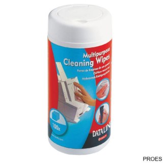 Chusteczki wilgotne do plastiku ESSELTE DATALINE (100szt) 67656