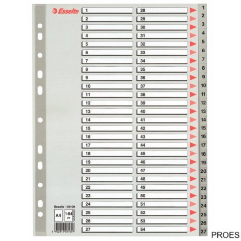 Przekładki plastikowe numeryczne A4 1-54 szare ESSELTE 100109 Przekładki plastikowe numeryczne A4 1-54 szare ESSELTE 100109