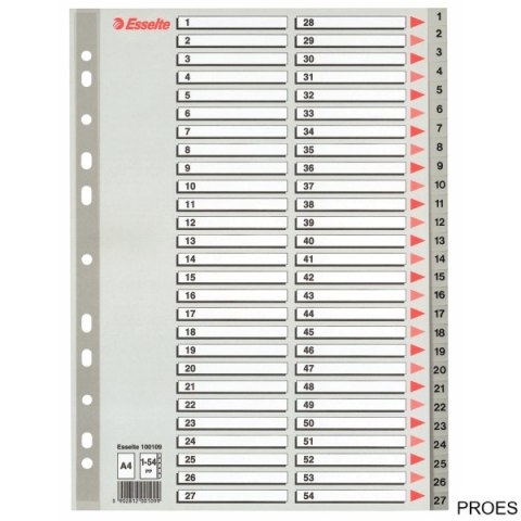 Przekładki plastikowe numeryczne A4 1-54 szare ESSELTE 100109