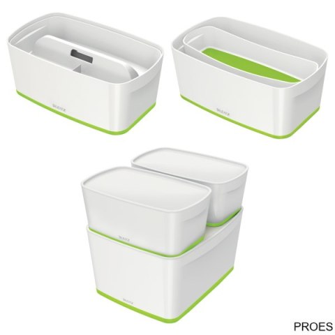 Pojemnik MyBox mały z pokrywką, biało-zielony 52291054 (X)