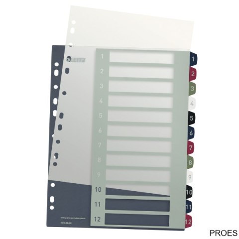 Przekładki plast. do nadruku tekstu na kartę, Leitz Style, 1-12 12380000 Przekładki plast. do nadruku tekstu na kartę, Leitz Style, 1-12 12380000