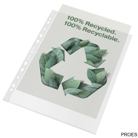 Koszulka groszkowa Recycled Premium PP 100 mic. A4 MAXI , 50 szt. Esselte 627504