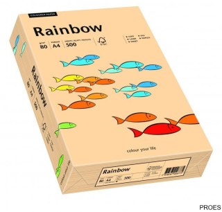 Papier xero kolorowy RAINBOW łosiosiowy R40 88042497