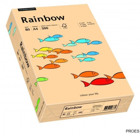 Papier xero kolorowy RAINBOW łosiosiowy R40 88042497
