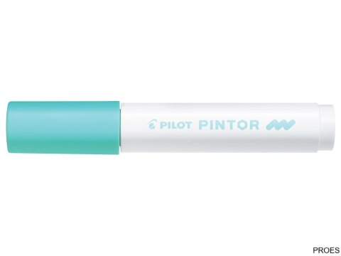 Marker PINTOR M pastelowy zielony PISW-PT-M-PG PILOT (X)