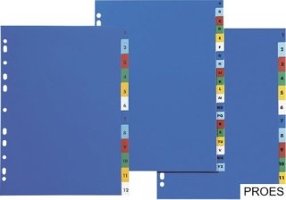 Przekładki OXFORD A4 z kolorowego PP NUMERYCZNE 1-12 100204769