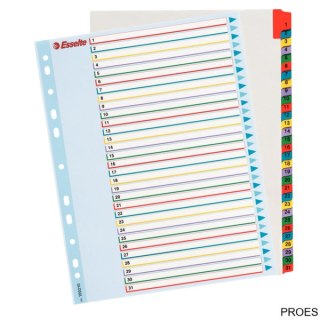 Przekładki kartonowe MYLAR A4 MAXI 1-31 ESSELTE 100210
