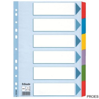 Przekładki, kolorowy karton, karta opisowa Mylar A4, Esselte, 6 kart, , 100168 (X)
