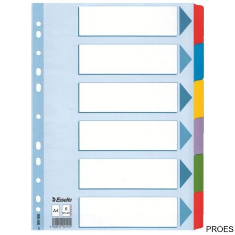 Przekładki, kolorowy karton, karta opisowa Mylar A4, Esselte, 6 kart, , 100168 (X)