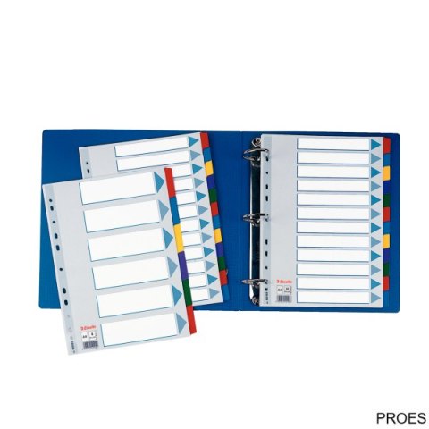 Przekładki, kolorowy karton, karta opisowa Mylar A4, Esselte, 6 kart, , 100168 (X)
