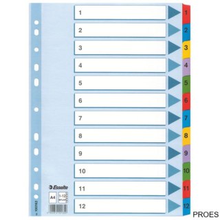 Przekładki kartonowe MYLAR A4 1-12 100162 białe ESSELTE