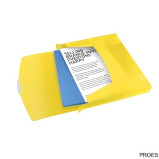 Teczka z gumką ESSELTE VIVIDA 40mm żółta 624052