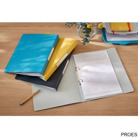 Segregator 2ringowy Leitz Cosy, szer. 32 mm, szary 42380089 Segregator 2ringowy Leitz Cosy, szer. 32 mm, szary 42380089