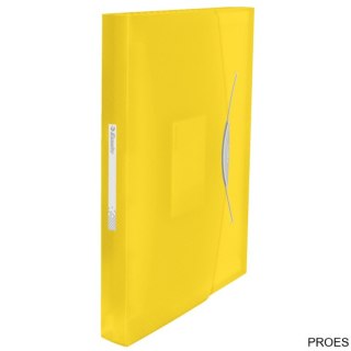 Teczka z przegródkami ESSELTE VIVIDA żółty 624020