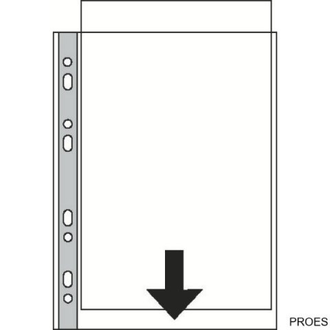 Koszulki groszkowe A3 75mic. ESSELTE pionowe (10szt) 47181 Koszulki groszkowe A3 75mic. ESSELTE pionowe (10szt) 47181