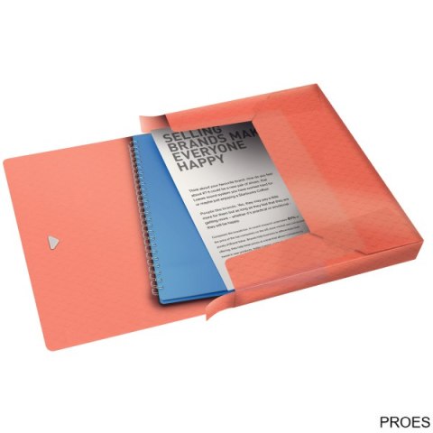 Teczka z gumką Esselte ColourIce, poszerzana, brzoskwiniowy, , 626263 Teczka z gumką Esselte ColourIce, poszerzana, brzoskwiniowy, , 626263