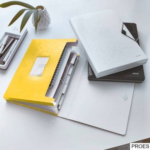 Teczka z 6 przegródkami PP Leitz WOW, żółta 45890016 -a Teczka z 6 przegródkami PP Leitz WOW, żółta 45890016 -a