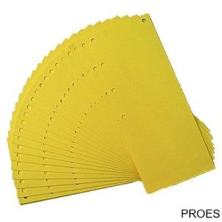 Przekł.wąs.98*240 żółt.990-024 z 5 otworami WARTA (X)