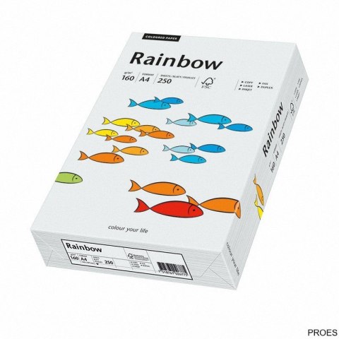 Pap.xero A4 160 j.szary 250aR93 RAINBOW 88042791/84 (X)