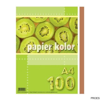 Papier xero A4 ciemnobrązowy (100 arkuszy) KRESKA