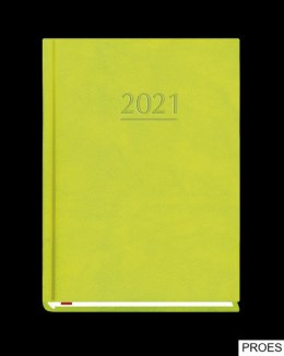 Terminarz OLA A6 2024 - zieleń Michalczyk i Prokop T-212V-Z