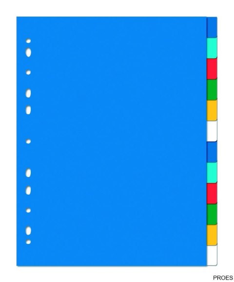 Przekładki OXFORD z kolorowego PP, A4 MAXI, 12 kart 100205086