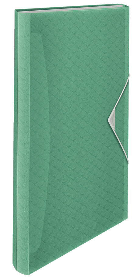 Teczka z przegródkami Esselte ColourBreeze, 6 przegródek, zielony 626253 Teczka z przegródkami Esselte ColourBreeze, 6 przegródek, zielony 626253
