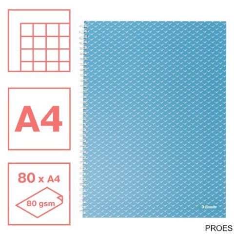 Kołonotatnik ColourBreeze A4, w kratkę, niebieski Esselte 628476 Kołonotatnik ColourBreeze A4, w kratkę, niebieski Esselte 628476