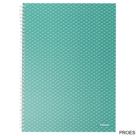 Kołonotatnik ColourBreeze A4, w kratkę, zielony Esselte 628477 Kołonotatnik ColourBreeze A4, w kratkę, zielony Esselte 628477