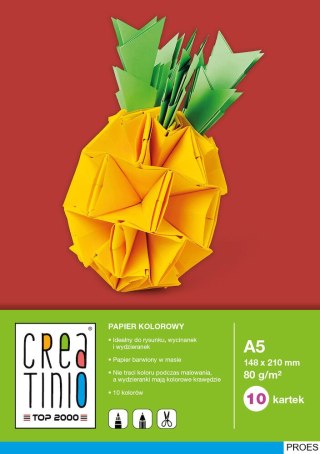 Papier kolorowy A5 10k 80g CREATINIO TOP 2000 400079855