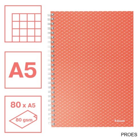 Kołonotatnik ColourBreeze A5, w kratkę, koralowy Esselte 628468 Kołonotatnik ColourBreeze A5, w kratkę, koralowy Esselte 628468