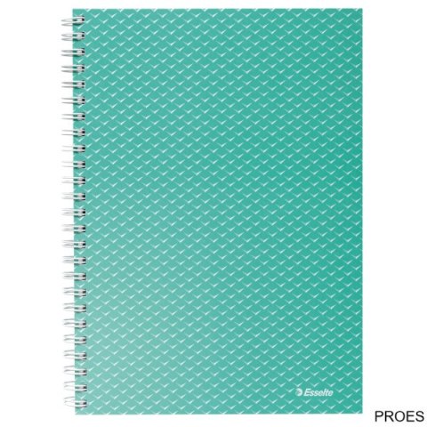 Kołonotatnik ColourBreeze A5, w kratkę, zielony Esselte 628467 Kołonotatnik ColourBreeze A5, w kratkę, zielony Esselte 628467
