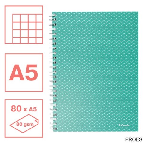 Kołonotatnik ColourBreeze A5, w kratkę, zielony Esselte 628467 Kołonotatnik ColourBreeze A5, w kratkę, zielony Esselte 628467