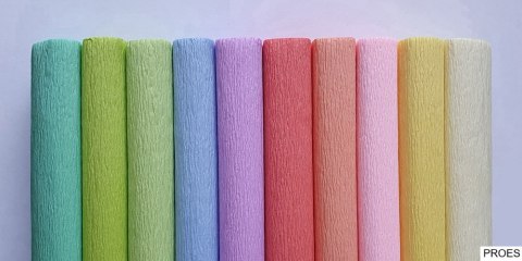 Bibuła marszczona Creatinio 50x200 mix pastelowy komplet 10 sztuk 400153932 TOP-2000 Bibuła marszczona Creatinio 50x200 mix pastelowy komplet 10 sztuk 400153932 TOP-2000