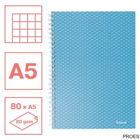 Kołonotatnik ColourBreeze A5, w kratkę, niebieski Esselte 628466 Kołonotatnik ColourBreeze A5, w kratkę, niebieski Esselte 628466